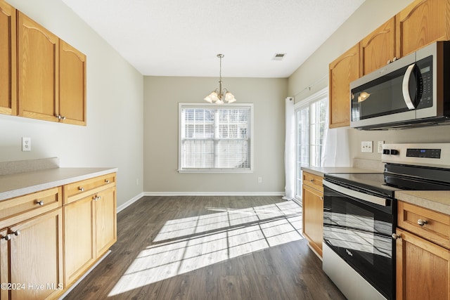 kitchen with a notable chandelier, dark hardwood / wood-style floors, stainless steel appliances, and decorative light fixtures