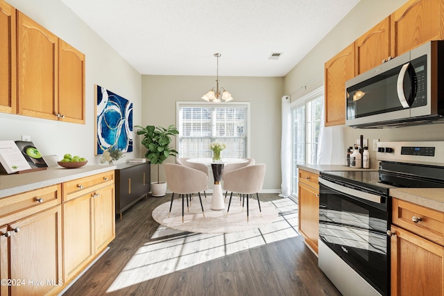 kitchen with dark hardwood / wood-style floors, stainless steel appliances, hanging light fixtures, and a chandelier