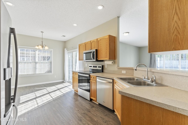 kitchen with a wealth of natural light, dark hardwood / wood-style flooring, sink, and appliances with stainless steel finishes