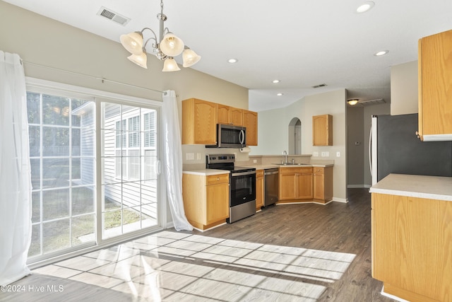 kitchen with plenty of natural light, dark hardwood / wood-style floors, sink, and stainless steel appliances