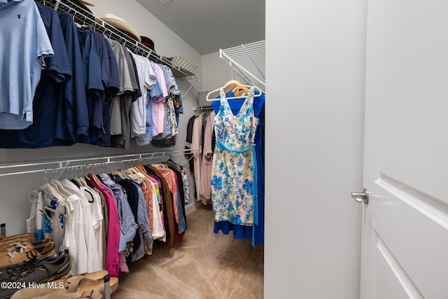 spacious closet with carpet flooring