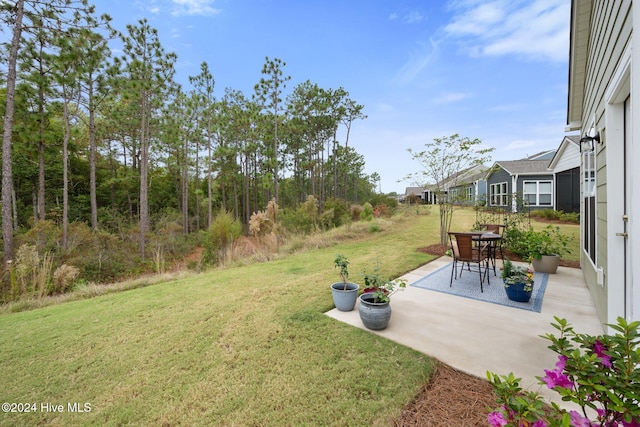 view of yard featuring a patio area