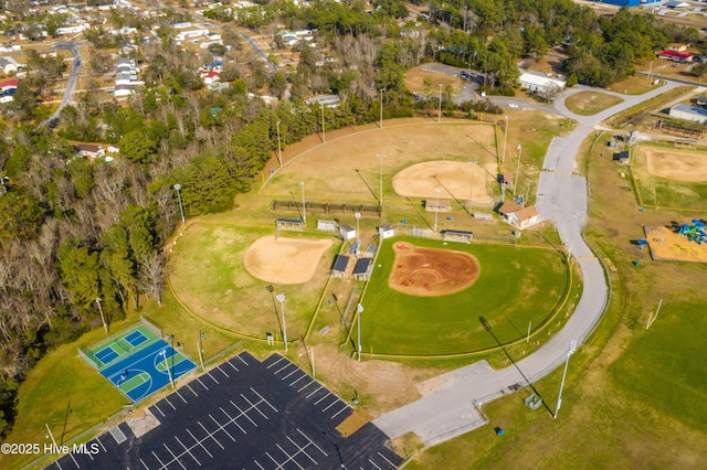 bird's eye view