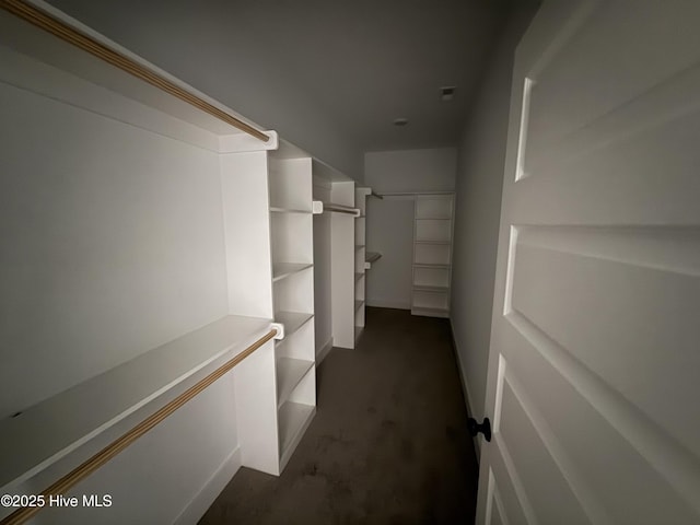 spacious closet with dark carpet