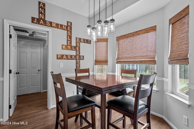 dining room featuring hardwood / wood-style floors and a textured ceiling