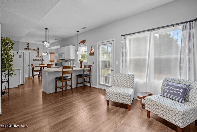 living area featuring wood-type flooring and a textured ceiling