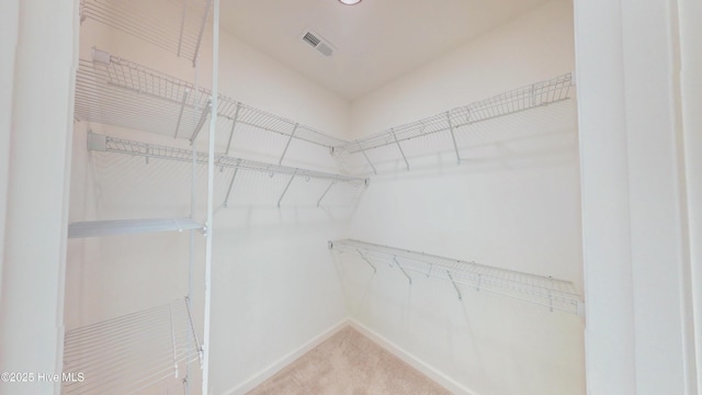 1407 Stoney Creek Church Rd, Goldsboro, NC 27534 - walk in closet featuring carpet floors