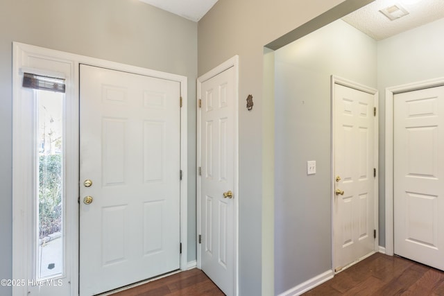 foyer entrance featuring dark wood-type flooring