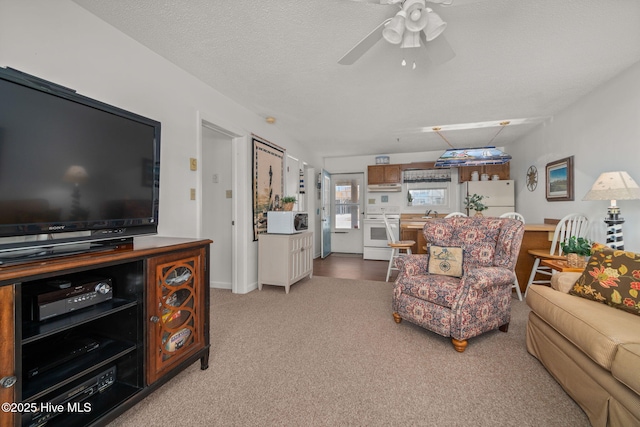 carpeted living area with ceiling fan and a textured ceiling