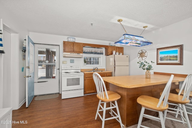 kitchen featuring brown cabinets, dark wood finished floors, light countertops, white appliances, and under cabinet range hood