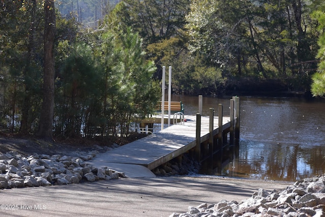 dock area with a water view