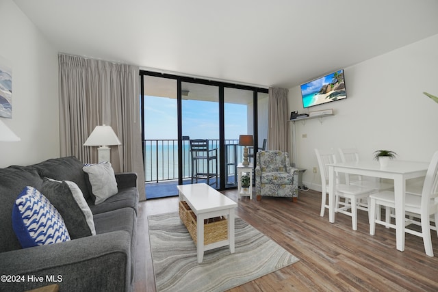 1615 Lake Park Blvd S Unit 1007, Carolina Beach, NC 28428 - living room with wood finished floors and expansive windows