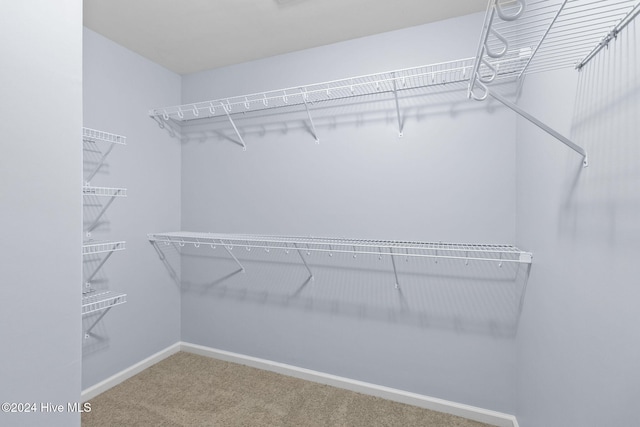 walk in closet with carpet