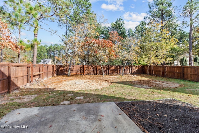 view of yard with a patio