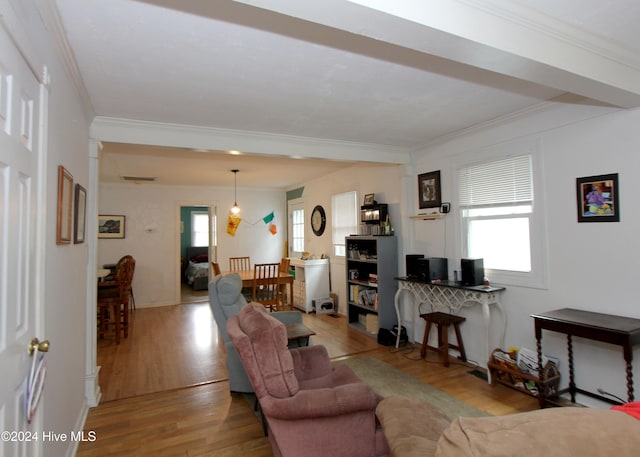 living room featuring light hardwood / wood-style floors and crown molding