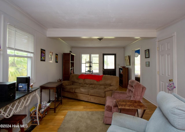 living room with crown molding, light hardwood / wood-style flooring, and a healthy amount of sunlight