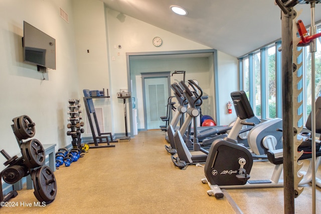 exercise room featuring vaulted ceiling