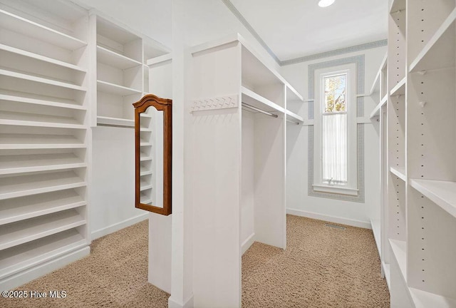 spacious closet with carpet flooring