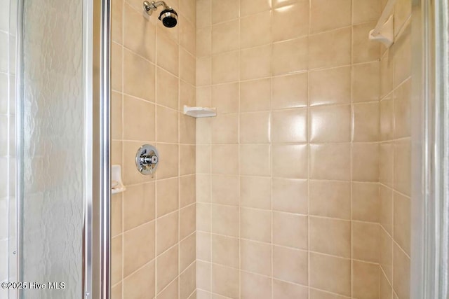 bathroom with walk in shower