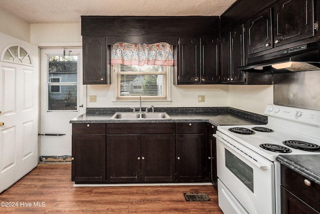 kitchen with dark brown cabinetry, sink, dark wood-type flooring, white electric range oven, and a textured ceiling