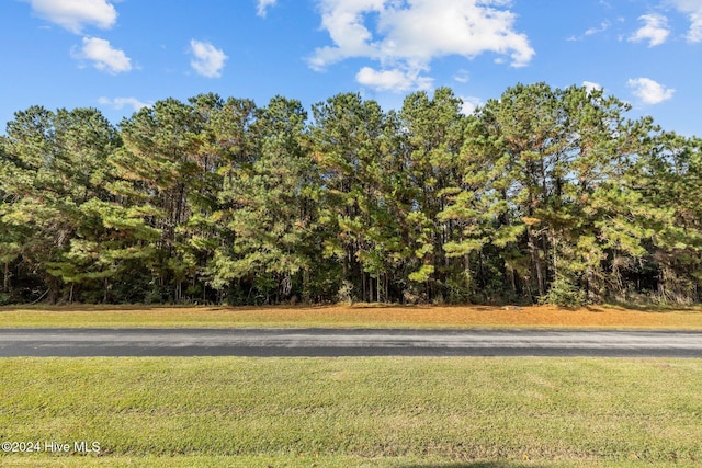 135 Garbacon Dr, Beaufort NC, 28516 land for sale