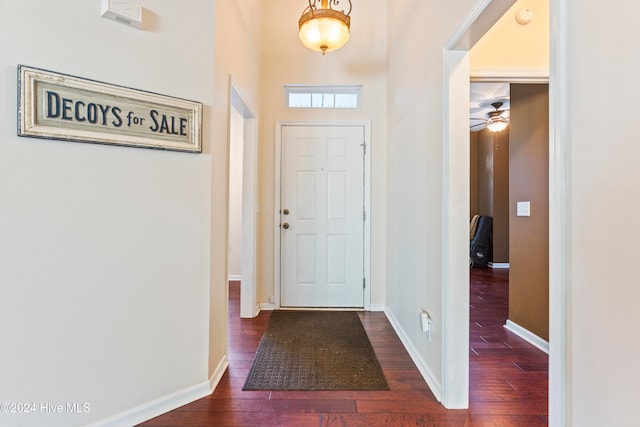 entryway with ceiling fan and dark hardwood / wood-style flooring