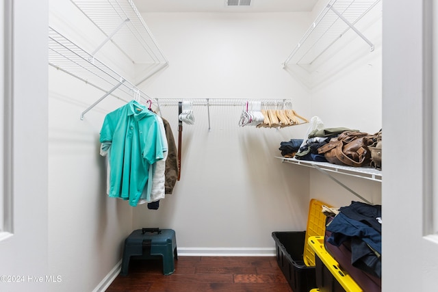 spacious closet featuring dark wood-type flooring