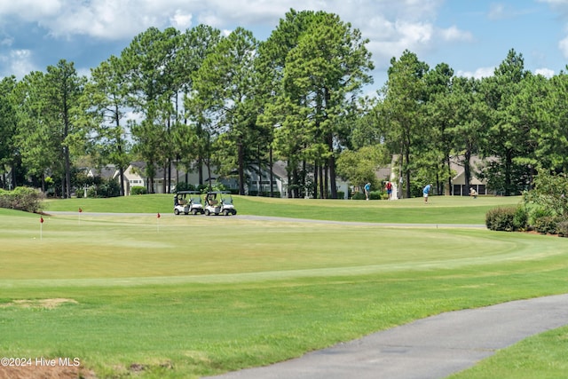 864 Sandpiper Bay Dr SW, Sunset Beach, NC 28468 - view of home's community with a putting green, a lawn, and golf course view