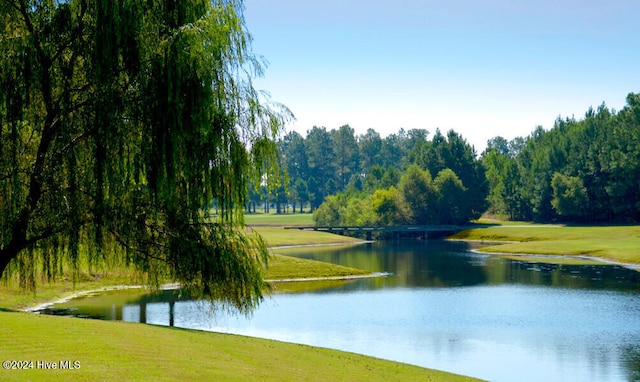 property view of water