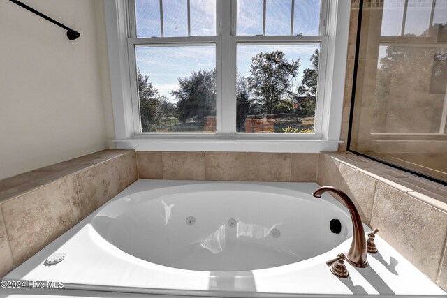 bathroom featuring a tub and a healthy amount of sunlight