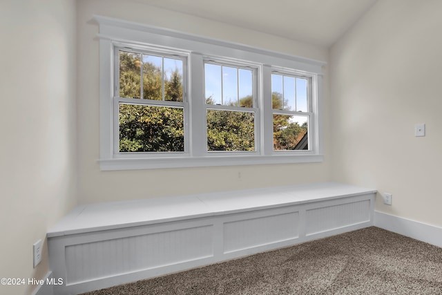 unfurnished room with carpet, lofted ceiling, and a healthy amount of sunlight