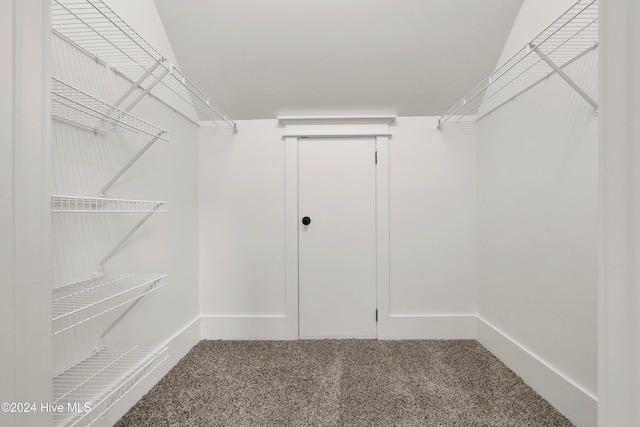 walk in closet with carpet