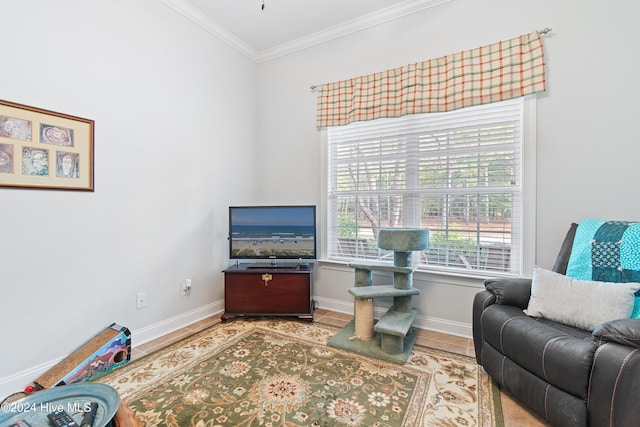 living area featuring ornamental molding