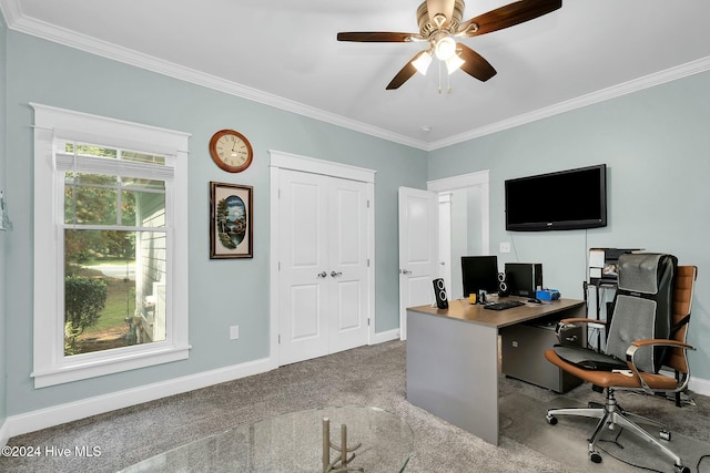 carpeted home office with ceiling fan and crown molding