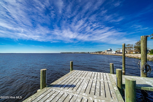 dock area with a water view