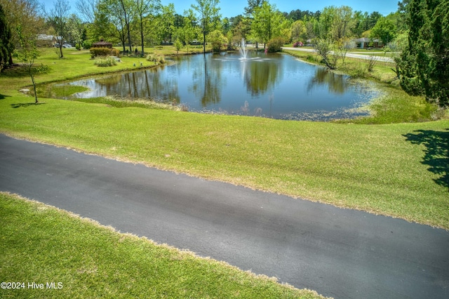 property view of water