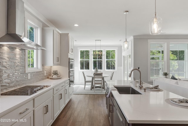 513 Moss Lake Ln, Holly Ridge, NC 28445 - kitchen with a sink, appliances with stainless steel finishes, plenty of natural light, and wall chimney exhaust hood