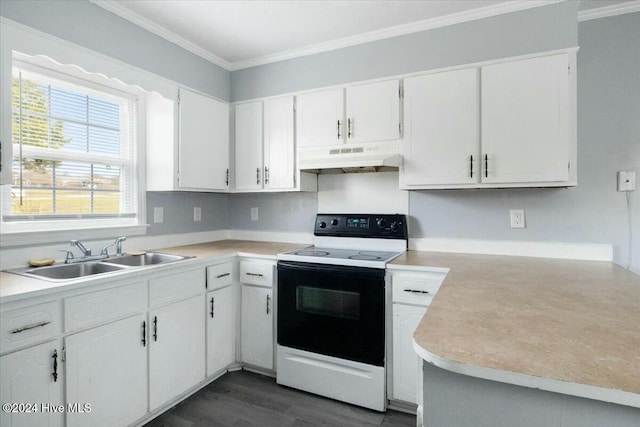 kitchen featuring white range with electric stovetop, sink, white cabinetry, and ornamental molding