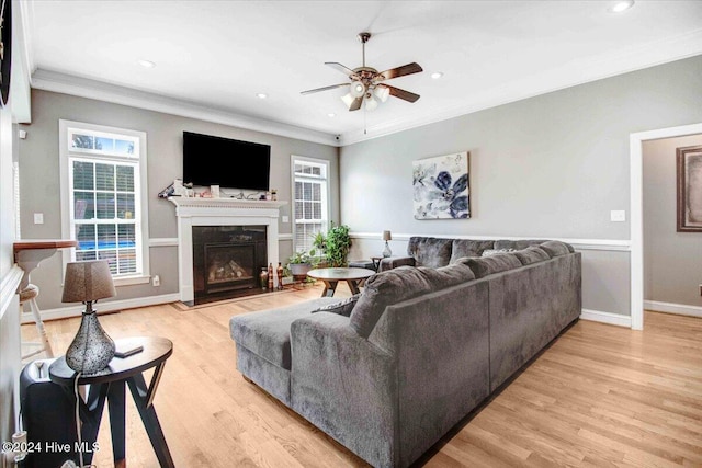 living room featuring light wood-type flooring, ceiling fan, and ornamental molding