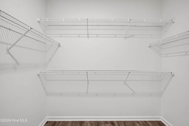 spacious closet featuring dark hardwood / wood-style flooring