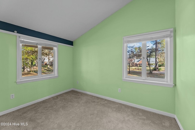 carpeted spare room featuring plenty of natural light and lofted ceiling