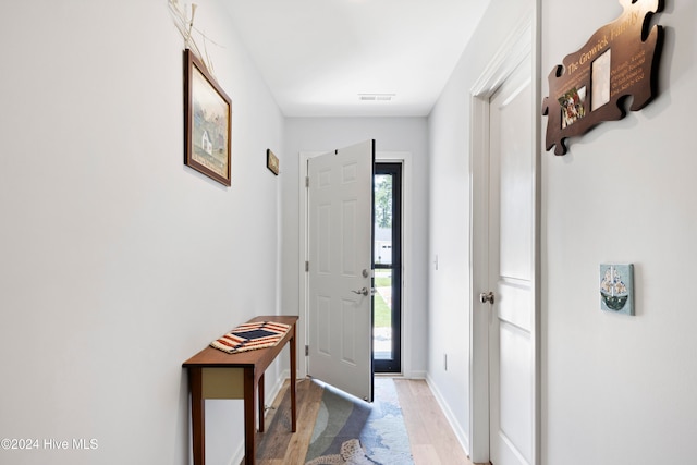 foyer entrance with a wealth of natural light and light hardwood / wood-style flooring