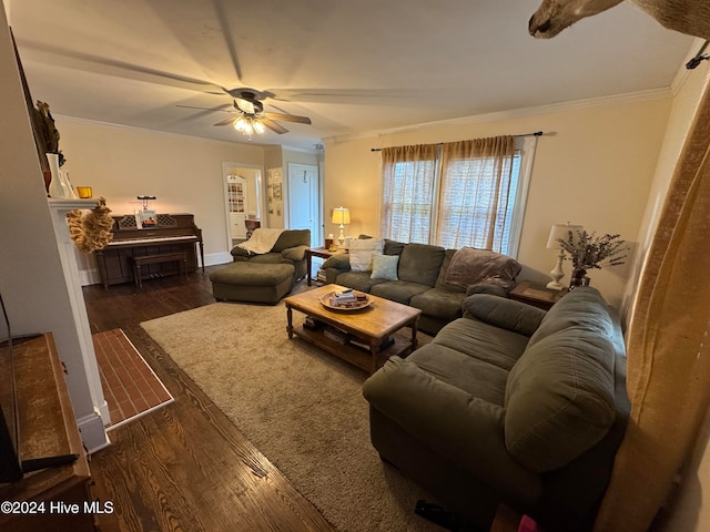 living room featuring ceiling fan, crown molding, and dark wood-type flooring