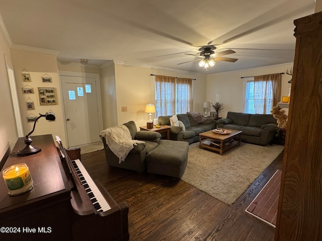 living room with dark hardwood / wood-style flooring, ceiling fan, and ornamental molding