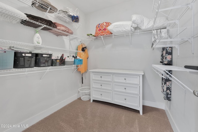 spacious closet with light colored carpet