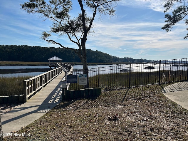 dock area with a water view