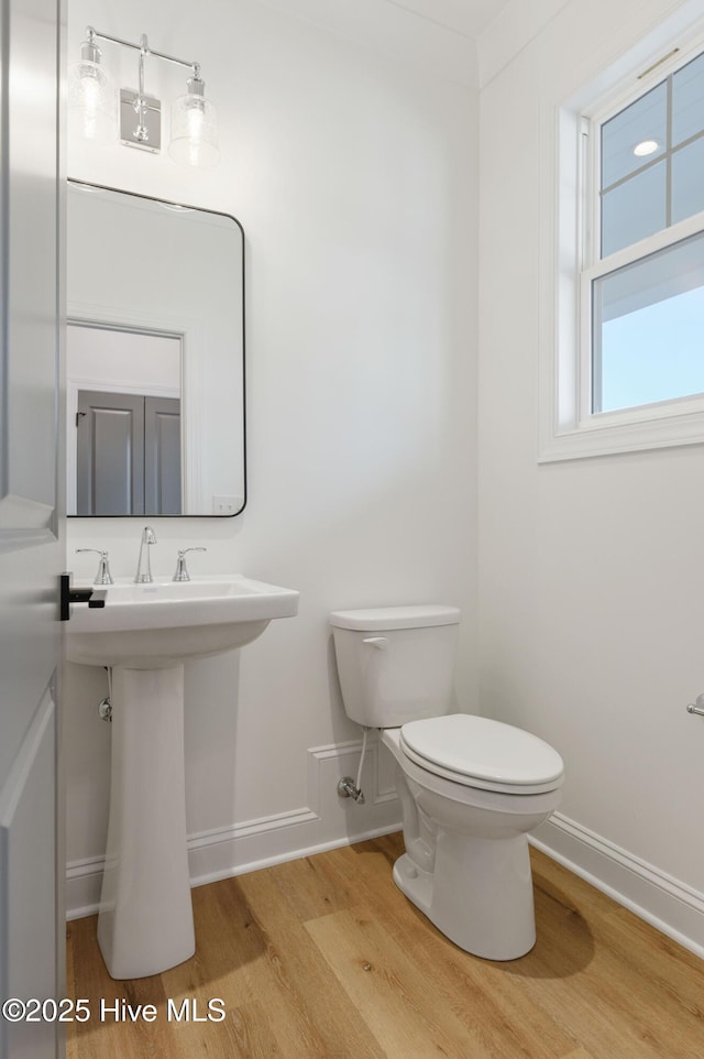 bathroom with hardwood / wood-style flooring, sink, and toilet