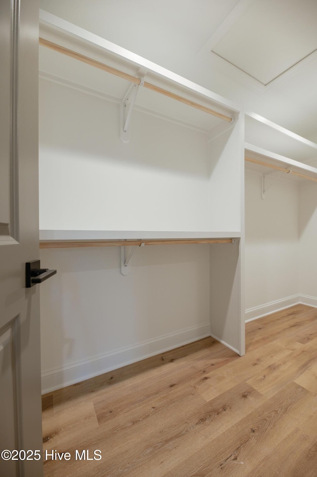 spacious closet with light hardwood / wood-style floors