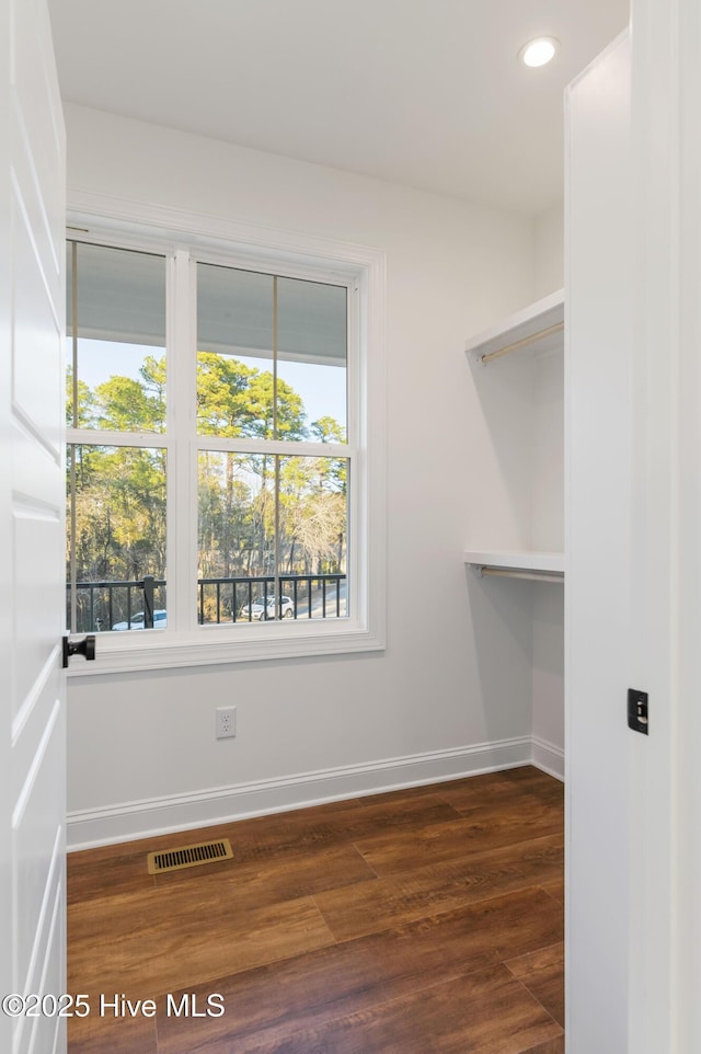 walk in closet featuring dark hardwood / wood-style flooring