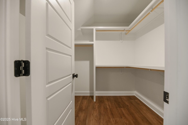 spacious closet with dark hardwood / wood-style floors